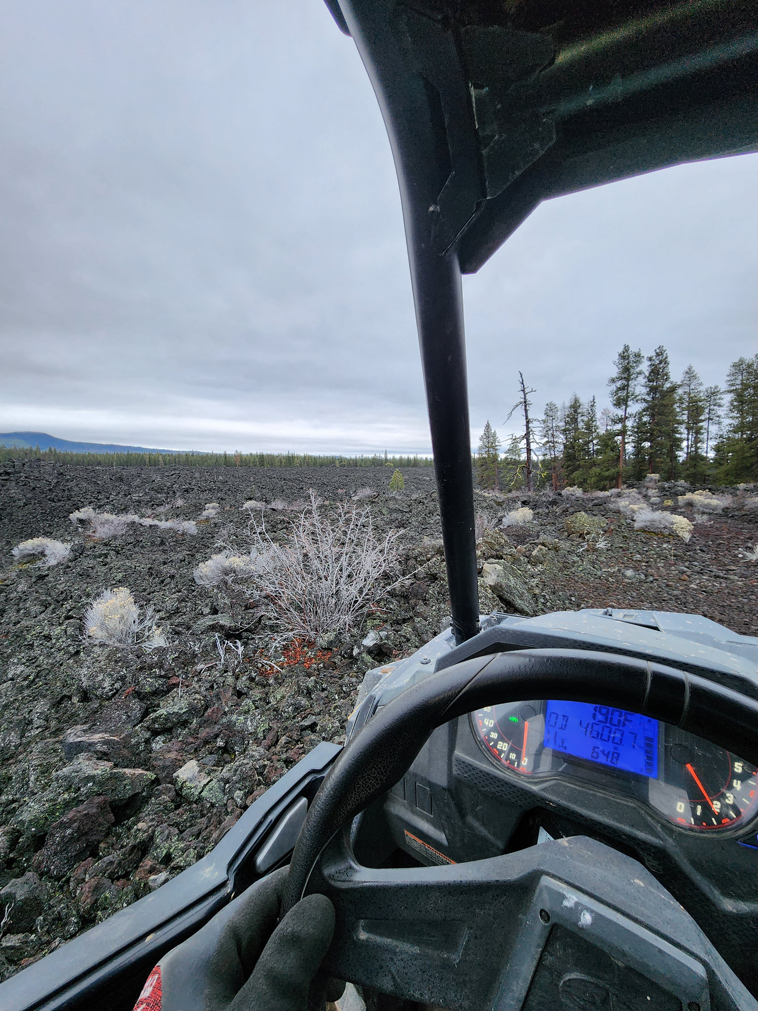 obsidian flow snow tours 2 hour snow mobiling